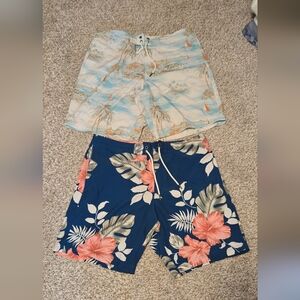 American Eagle Outfitters Floral and Scenic Print Shorts